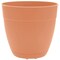 Bloem Dayton Planter With Saucer: 12" - Coral - 100% Recycled Plastic Pot, Removable Saucer, Elevated Feet, For Indoor and Outdoor Use, Gardening, 3 Gallon Capacity